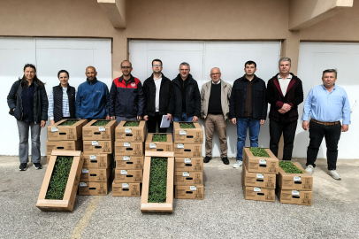 Kırklareli’nde Domates Fide Dağıtımı Yapıldı