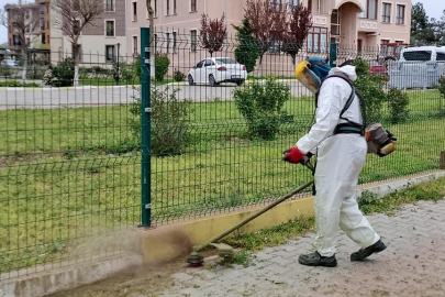 Lalapaşa'da Ot Temizliği ve İlaçlama Çalışmaları Başladı