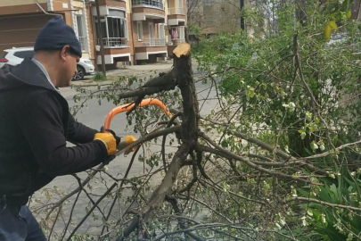 Muratlı’da Temizlik ve Çevre Düzenleme Çalışmaları Sürüyor