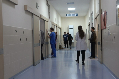 OMÜ Hayvan Hastanesi 2025’te 30 Binden Fazla Vakaya Müdahale Etti