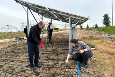 Trakya Üniversitesi’nde Agrivoltaik Sistem Araştırmaları Başladı