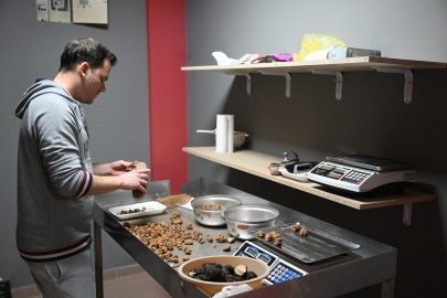 Türkiye'den Topladığı Trüf Mantarlarını Avrupa'ya Gönderiyor