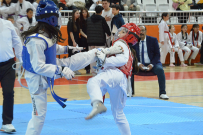 Edirne’de Taekwondo Şenliği