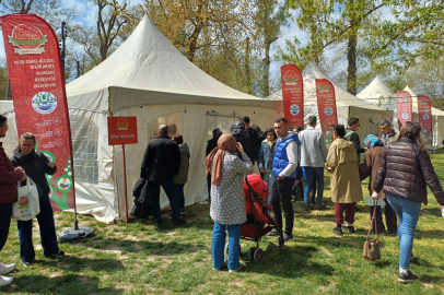 Edirneliler Bu Şenliği Çok Sevdi