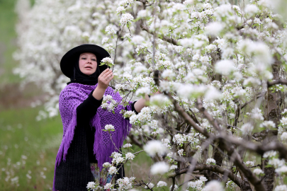 Kırklareli'nde Meyve Ağaçlarının Çiçek Açmasıyla Bahçeler Beyaza Büründü