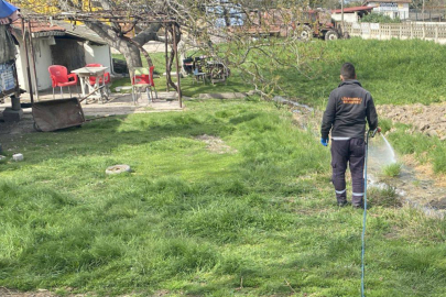 Lüleburgaz’da Sivrisinek ve Zararlılara Karşı İlaçlama Çalışmaları Sürüyor