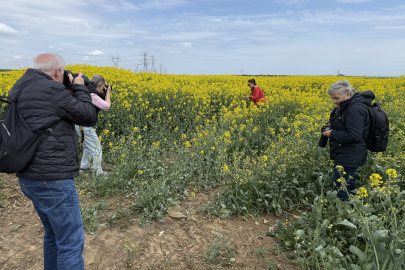 Tekirdağ'da Kanola Tarlasında Foto Safari Düzenlendi