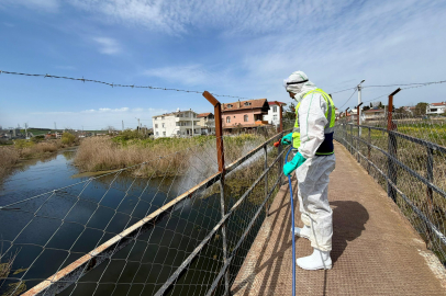 Başkan Bozkurter: Larvasit İlaçlama Çalışmaları Aralıksız Sürüyor