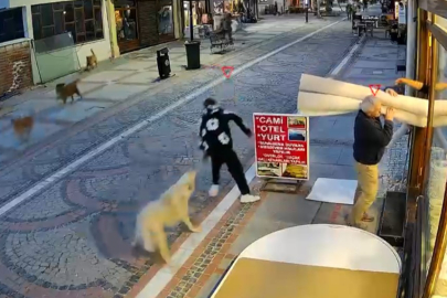 Edirne'de Başıboş Köpek Saldırısı: 19 Yaşındaki Genç Yaralandı