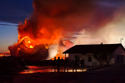 İpsala’da Korkutan Yangın