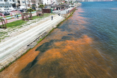 Tekirdağ'da Planktonların Çoğalması Sonucu Denizin Rengi Yer Yer Değişti