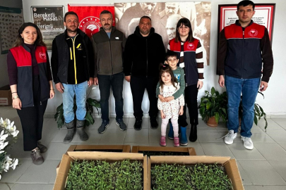 Vize’de Üreticilere Hibe Destekli Domates Fideleri Dağıtıldı