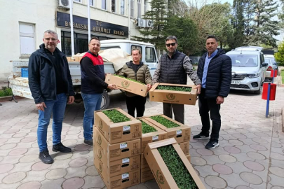 Babaeski’de Üreticilere Hibe Destekli Domates Fideleri Dağıtıldı