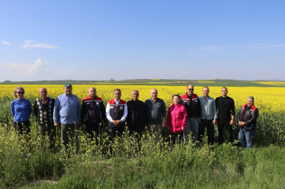 Kanola Ekili Alanlarda İnceleme Yapıldı