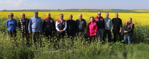 Kanola Ekili Alanlarda İnceleme Yapıldı