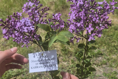 Edirne İlhami Ertem Anadolu Lisesi Öğrencilerinden Anlamlı Etkinlik
