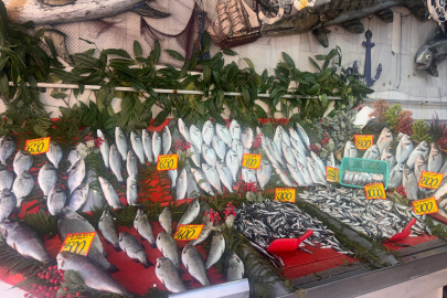 Edirne'de Hamsinin Kilogramı 300 Liradan Satışa Sunuluyor