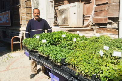 Sebze Fiyatlarındaki Artış Fide Satışlarını Patlattı