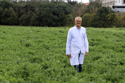 Tekirdağ’da Geliştirilen Yerli Korunga “NKÜ Efsane” Adıyla Tescillendi