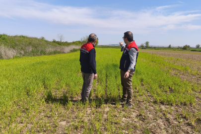 Edirne’de Yağışların Ardından Tarım Arazilerinde Hasar Tespiti Tamamlandı