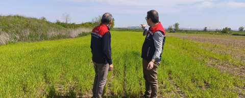 Edirne’de Yağışların Ardından Tarım Arazilerinde Hasar Tespiti Tamamlandı