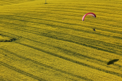 Tekirdağ'da Sarı Şölen: Paramotorlar Sarı Tarlaları Gezdi