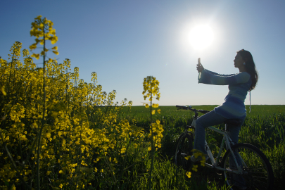 Edirne'de Kanola Tarlaları Agro Turizme Canlılık Katıyor
