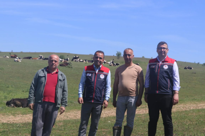 Edirne Tarım ve Orman Müdürü Köse'den Saha İncelemeleri