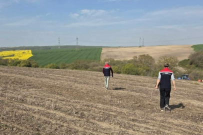 Tekirdağ'da Ayçiçeği Tohumları Anıza Ekim Yöntemiyle Toprakla Buluştu