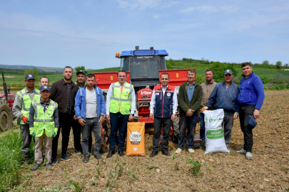 Subaşı Beldesinde 70 Dekar Alana Yerli Hibrit Ayçiçeği Tohumları Ekildi
