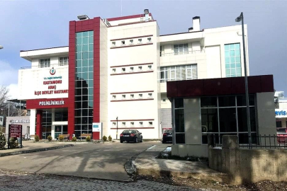 Kestiği Ağacın Altında Kalan İşçi Hayatını Kaybetti