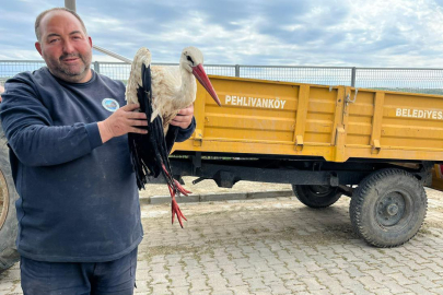 Pehlivanköy’de Yaralı Leylek Tedavi Altına Alındı