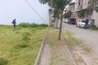 İpsala’da Mahallelerde Temizlik ve Peyzaj Çalışmaları Sürüyor