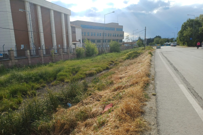 Haşim İşcan Caddesi'ndeki Kirlilik Dikkat Çekiyor