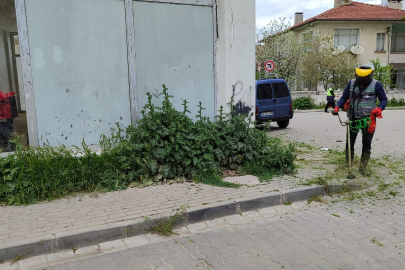 Lüleburgaz’da Temizlik ve Ot Biçme Çalışmaları Sürüyor