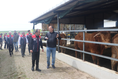 Edirne’de Damızlık Sığır İşletmesine Yerinde İnceleme