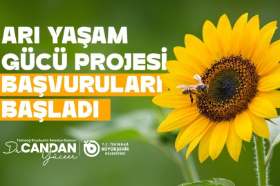 Tekirdağ’da Arıcılara Yem Desteği Başvuruları Başladı