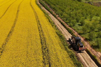 Tarla Yolları Hasada Hazırlanıyor