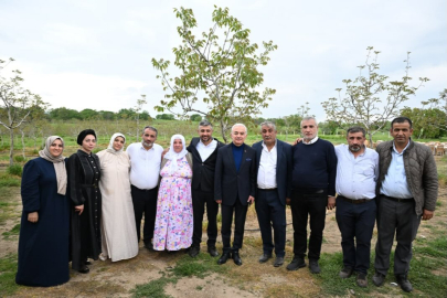 Çeşmeköy’de Ceviz Üretim Sezonu Açıldı