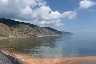 Marmara'da Plankton Artışı Sahilde Renk Değişimine Yol Açtı