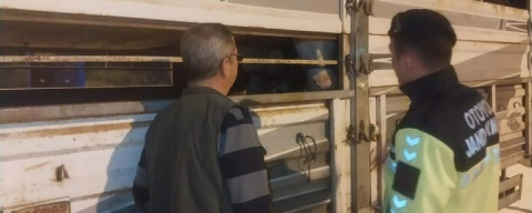 Edirne'de Belgesiz Hayvan Sevkine Ceza