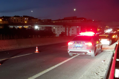 Yola Çıkan Atlar Zincirleme Kazaya Neden Oldu