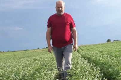 ‎Aslan; "Nohutta Bu Yıl Daha İyi Verim Elde Edeceğiz"