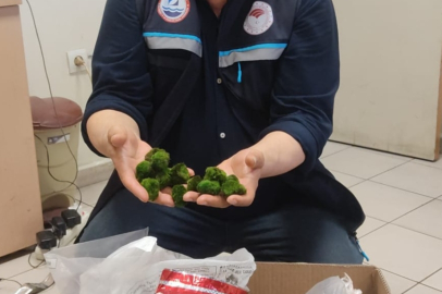 Kapıkule'de  2 Bin 125 Canlı Yeşil Alg Ele Geçirildi