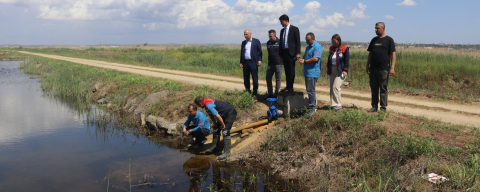 2026 Sazan Balığı Yavrusu Üretim Çalışmaları Başladı
