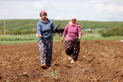 Kırklareli'nde Çiftçi Kadınlar Üretimin Yükünü Omuzluyor