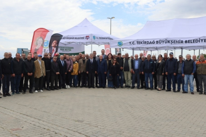 Sebze Üreticilerine Yarım Milyon Fide