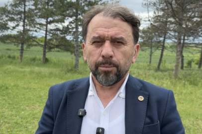 Yerli Ayçiçeği Tohumu Pazar Payını Yüzde 15'e Çıkardı