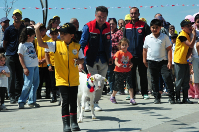Çanakkale'de 'Boğazın Minik Çobanları' Yarışması