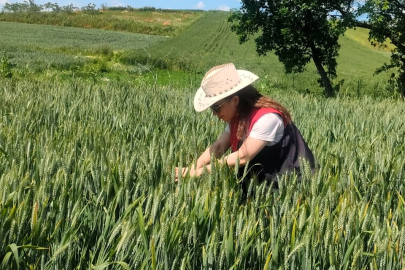 Kırklareli’nde Süne Yumurtası Parazitoid Sürveyi Çalışmaları Başladı